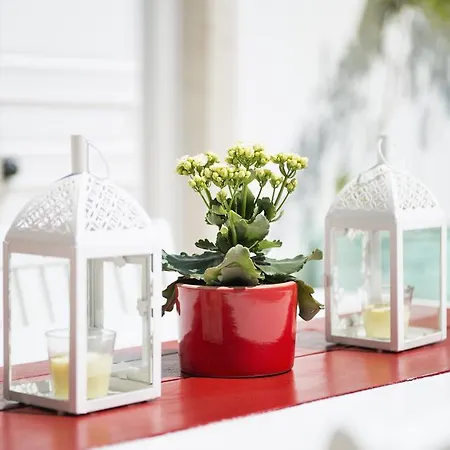 ホテル Puka アラカティ